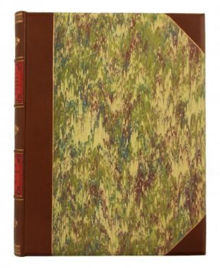 Антикварная книга Агин А. Сто четыре рисунка к поэме Н.В. Гоголя "Мертвые души" (Антикварная книга 1892г.)