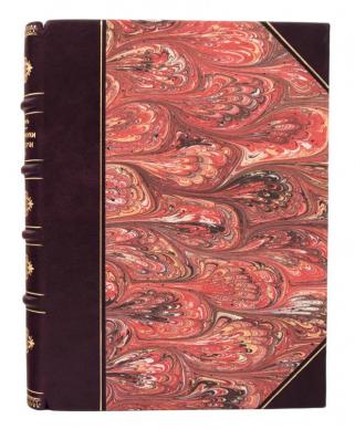 Антикварная книга Рубакин Н.А. Из мира науки и из истории мысли (Антикварная книга 1896г.)