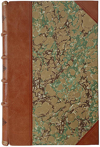 Ионин А.С. По Южной Америке. В 2-х томах (Антикварная книга 1892г.)