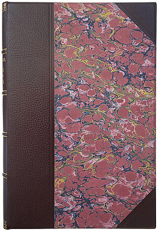 Виноградов И.В. Теория мирового разума (Антикварная книга 1903г.)