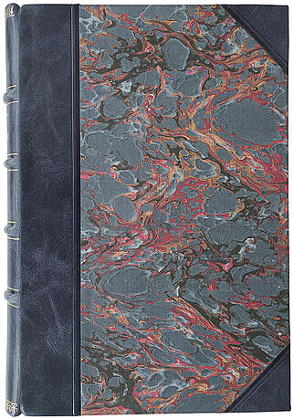 Швальбе Ю. Основы практической медицины (Антикварная книга 1909г.)