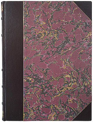 Четыре дня в деревне псового охотника (Антикварная книга 1895г.)