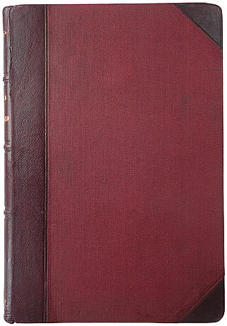 Фокин Н.Н. Охота и охотники (Антикварная книга 1908г.)