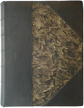 Гоголь Н. В. Похождения Чичикова, или Мертвые души: Поэма (1900г.)